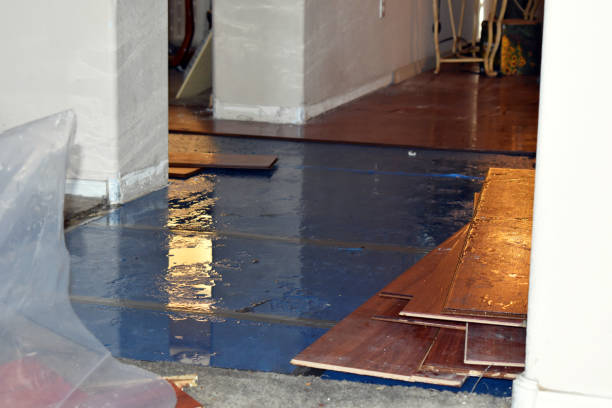 Professional Water Damage Restoration technician working in Randolph, MS